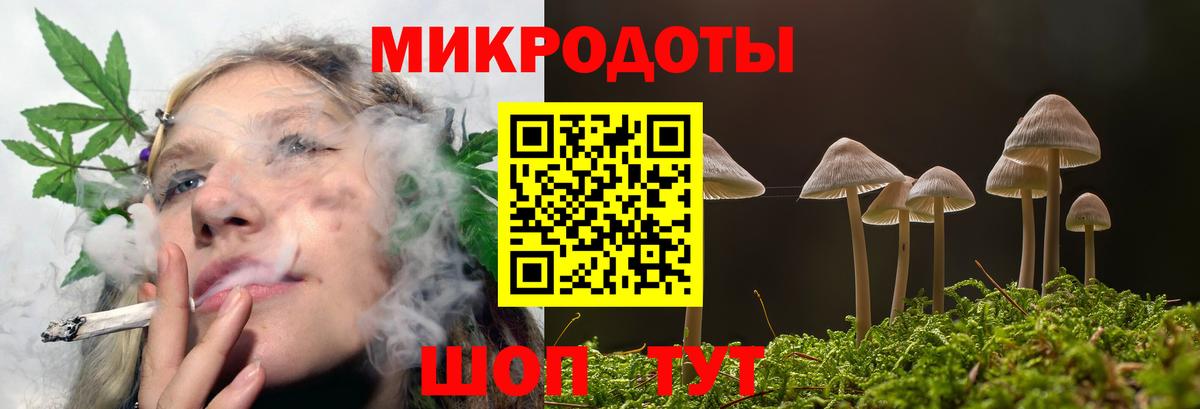 Галлюциногенные грибы мицелий  Псилоцибиновые грибы ЛСД  Вход с VPN  Тулун 